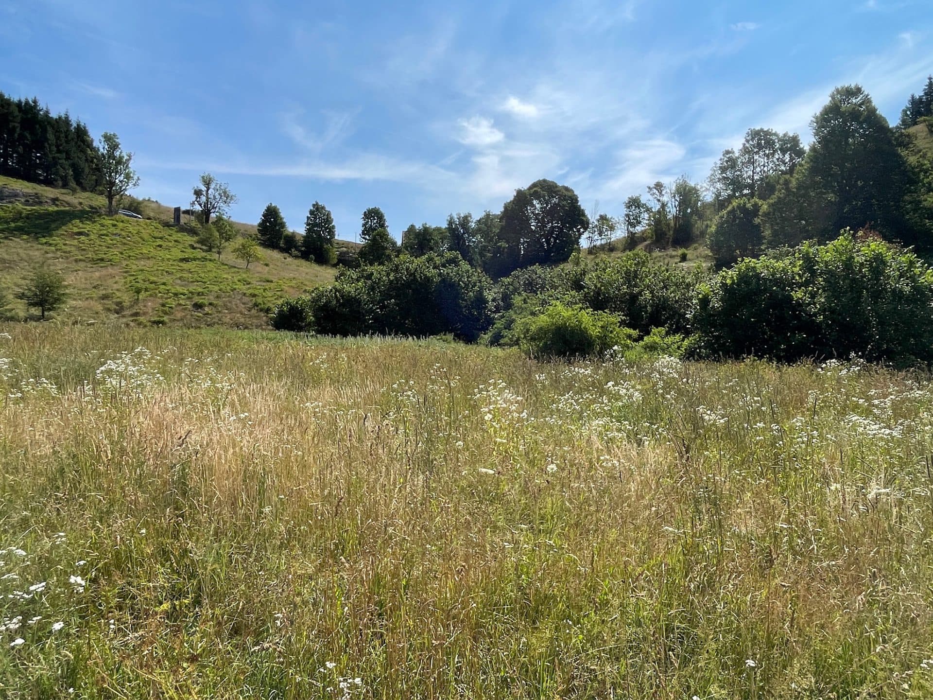 Mrkopalj - Two Agricultural Parcels with Development Potential and History — photo 3