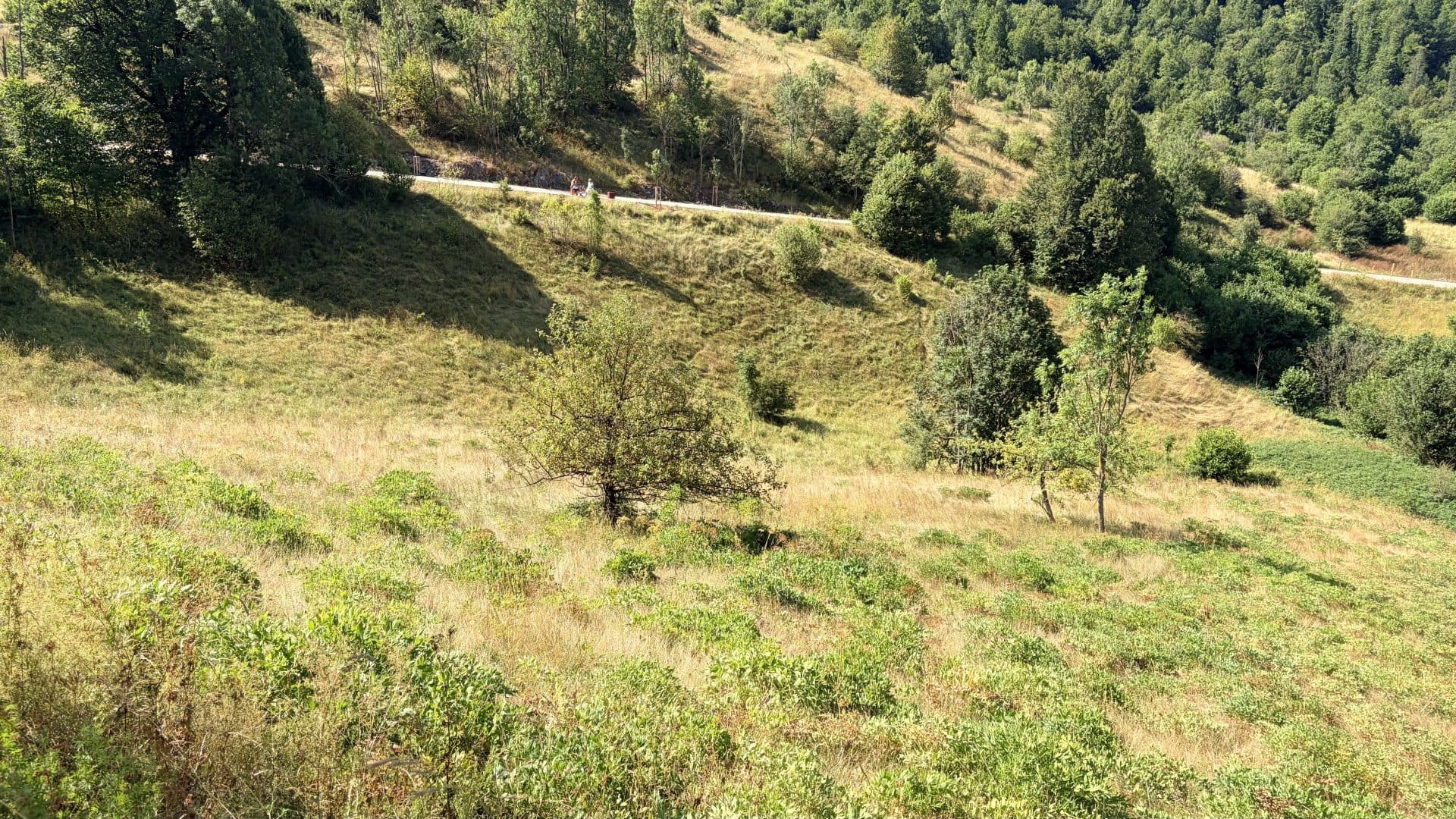 Mrkopalj - Two Agricultural Parcels with Development Potential and History — photo 8