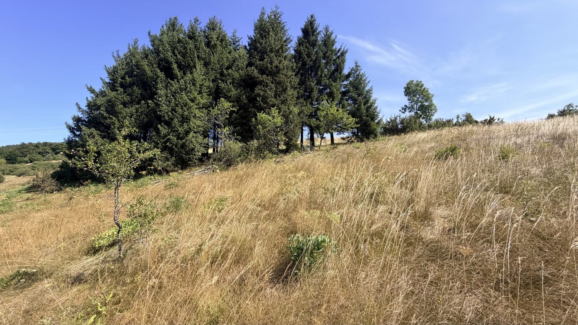 Mrkopalj - Two Agricultural Parcels with Development Potential and History — photo 6