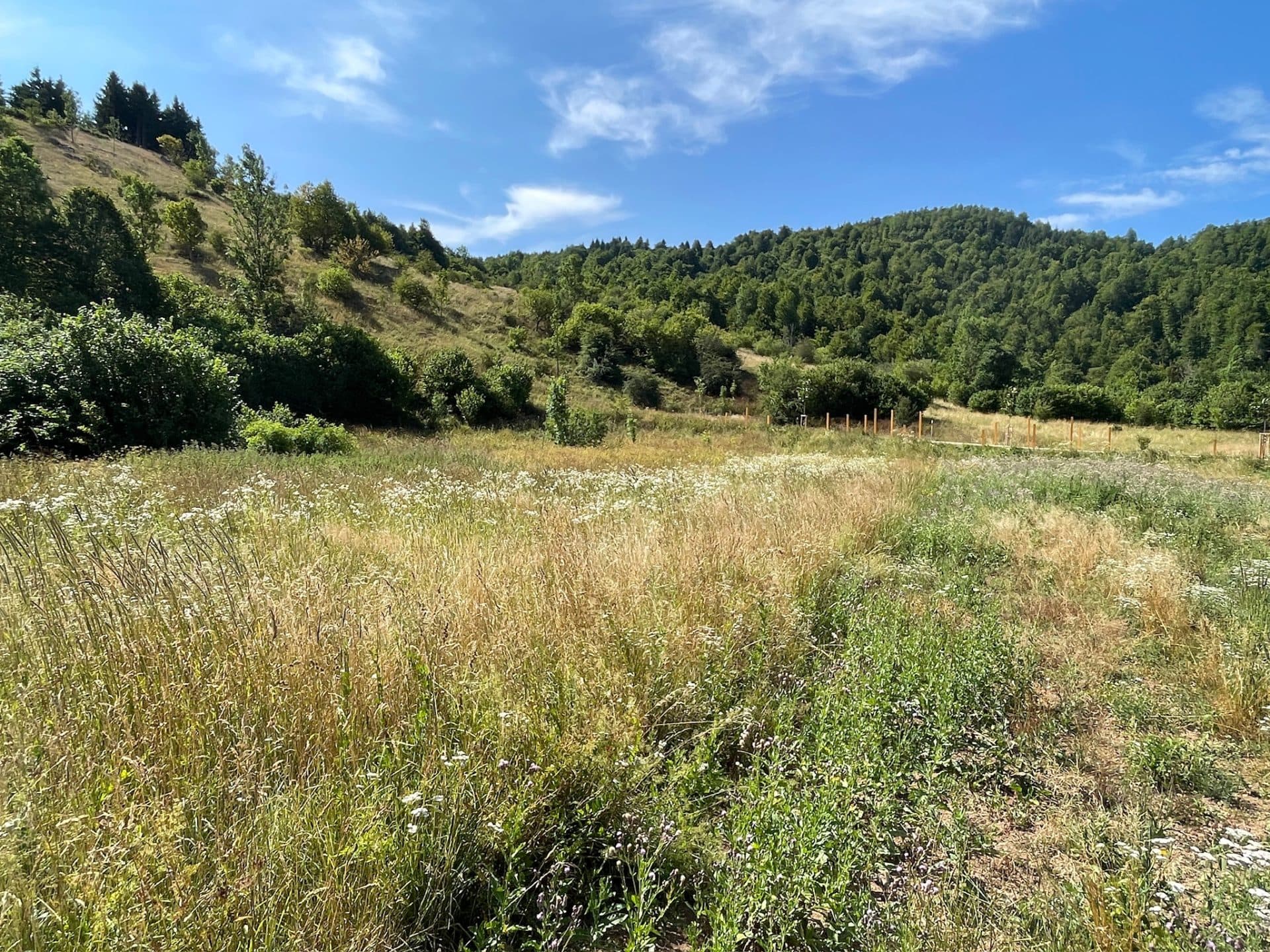 Mrkopalj - Two Agricultural Parcels with Development Potential and History — photo 2